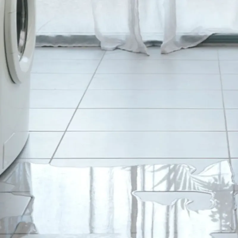 Appliance Leak Cleanup in Carlton, OR