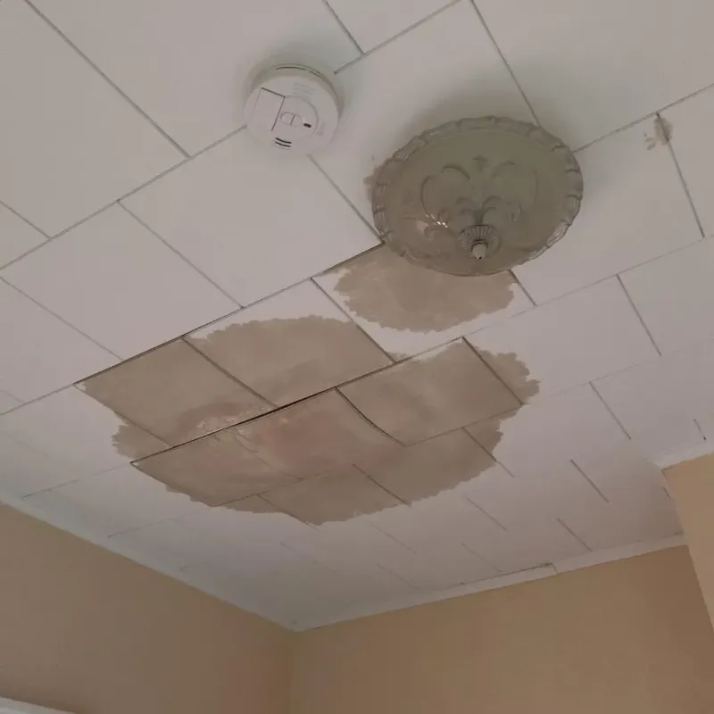 Ceiling Water Damage Repair in Carlton, OR