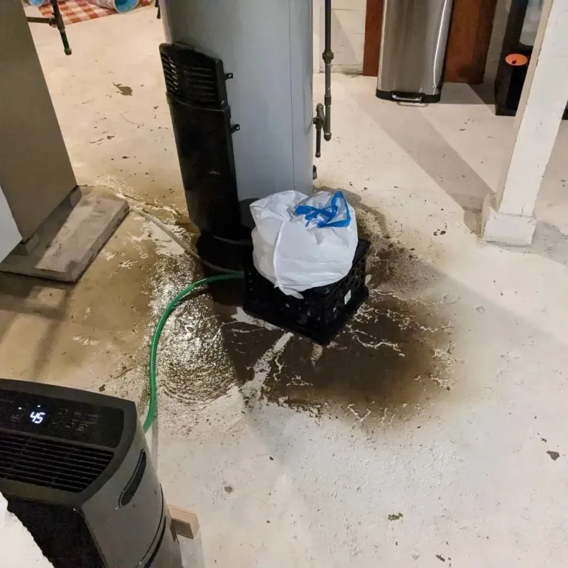 Sewage Backup Cleanup Service in Carlton, OR